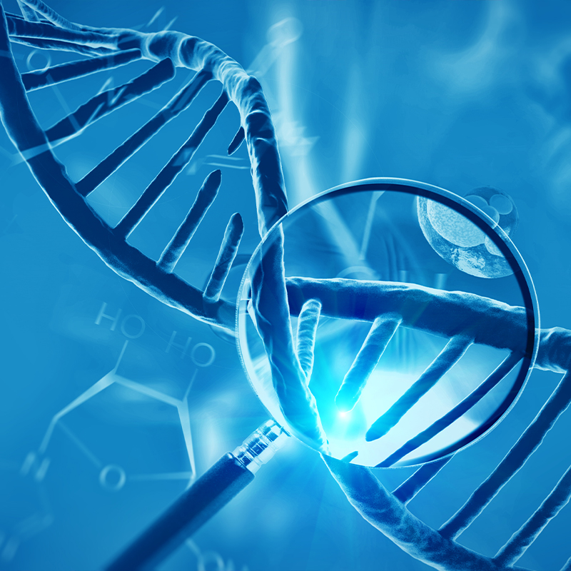 Illustration of DNA made of colorful spheres