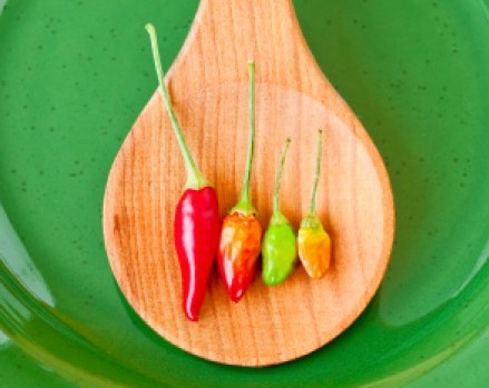 hot peppers in wooden spoon