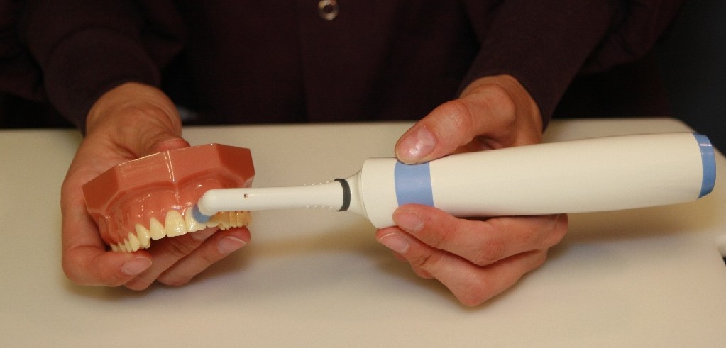 Rododent power toothbrush