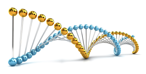 model of dna with gold genes