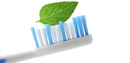 toothbrush with leaf on bristles