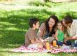family on a picnic together