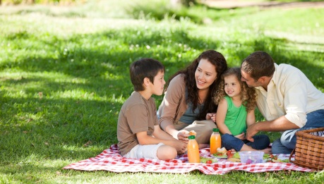 family on a picnic together